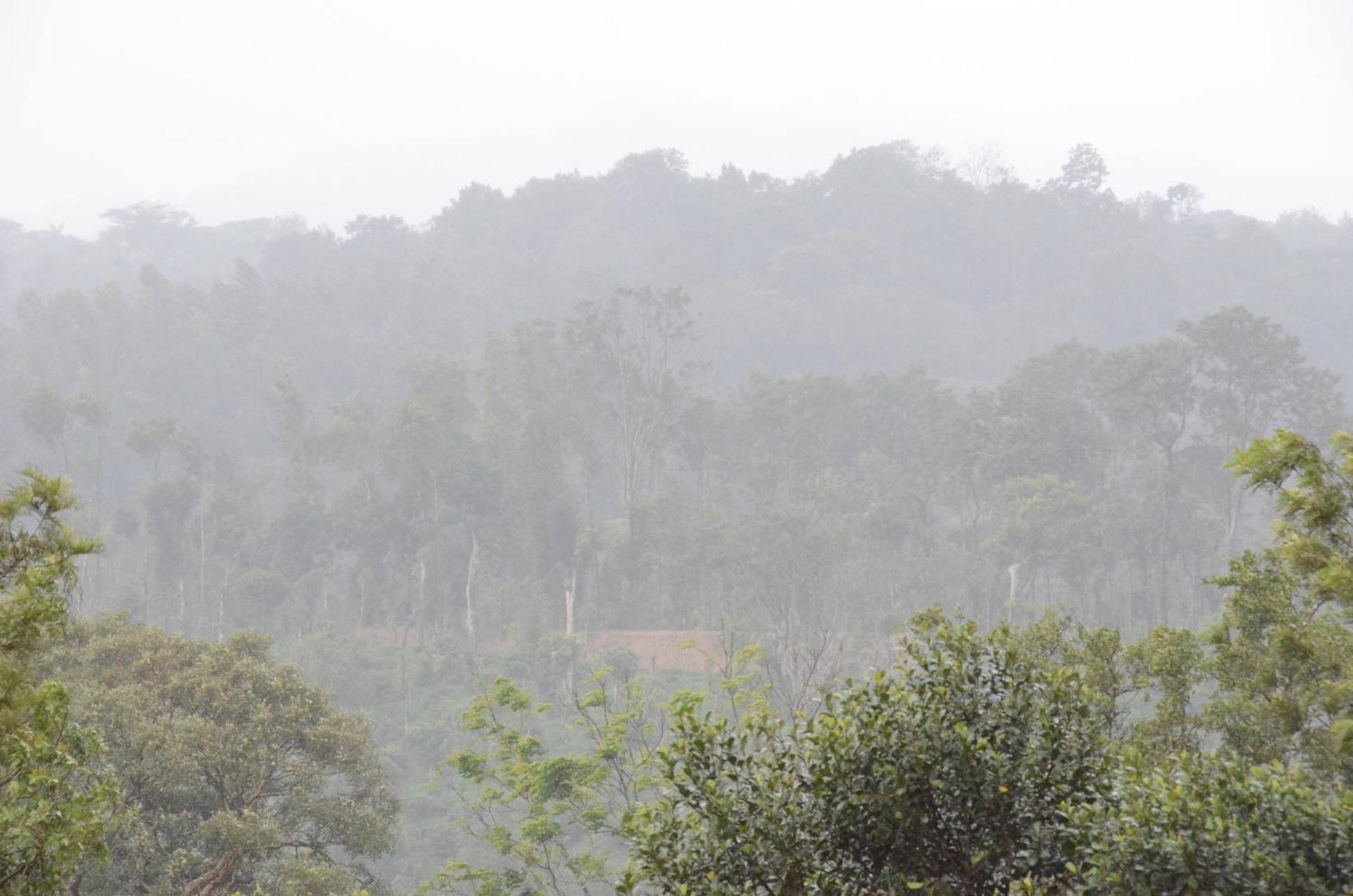 Ibbanicadu Estate Homestay Madikeri Exterior foto